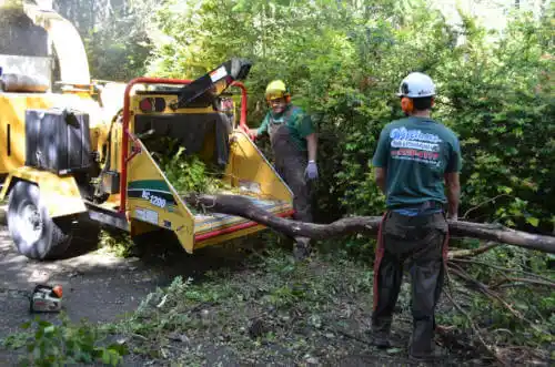 tree services Baker